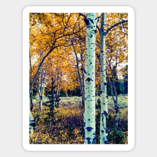 Teton Scene Sticker